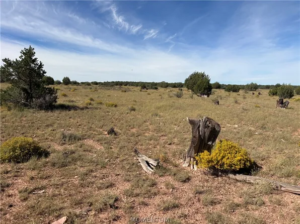 301-31-313 N Hyde Park Rd, Seligman, AZ 86337