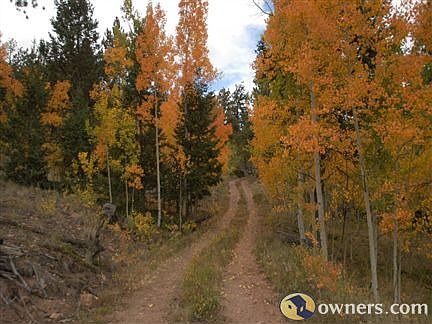 54 Wooded Acres, Cabin, Meadow, Spring