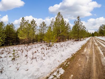 Nna Lone Pine Ln, Deer Park, WA, 99006