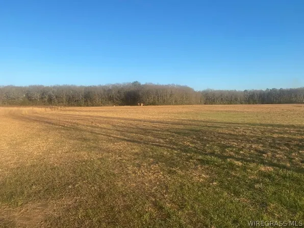 0 County Road 625, Enterprise, AL 36330