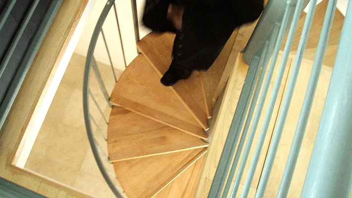 Rented by Owner | media 33