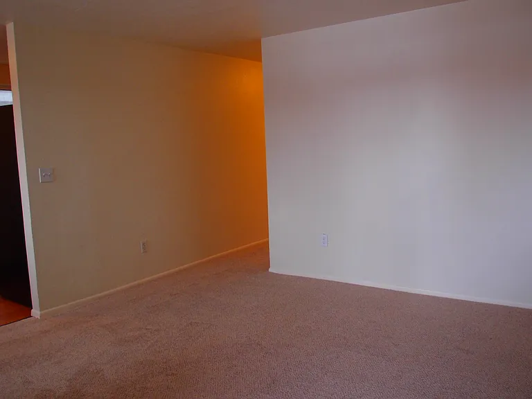 2437 Spruce street — Photo 19