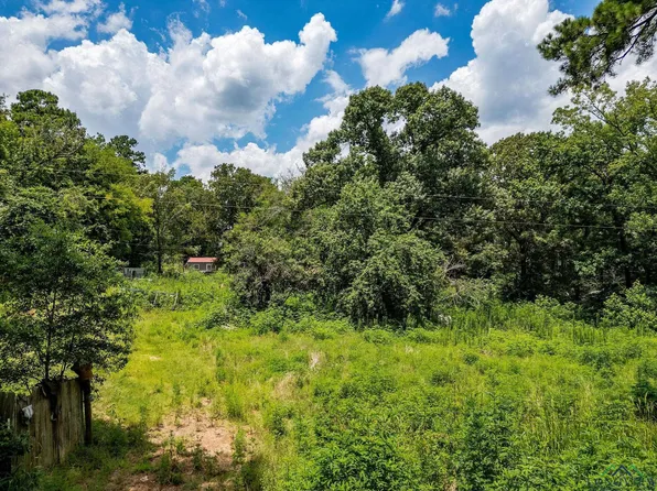 2400 Elk Rd, Gilmer, TX 75644