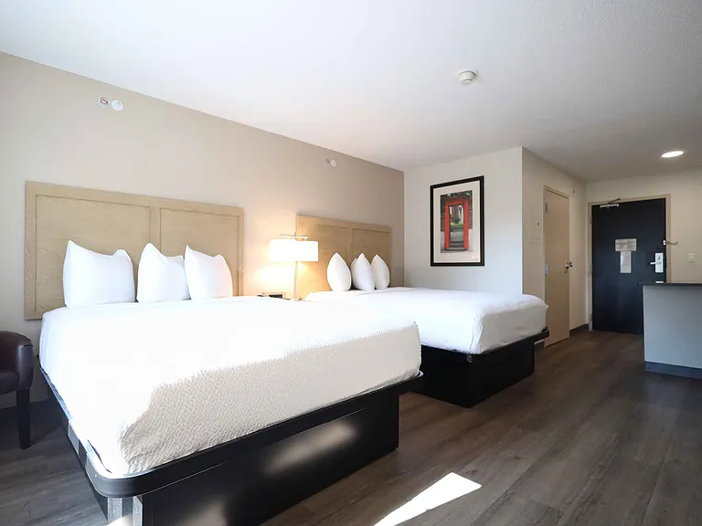 Studio Suite - 2 Full Beds