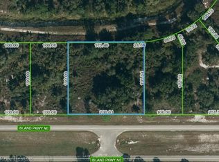 956 Island Pkwy NE, Lake Placid, FL 33852
