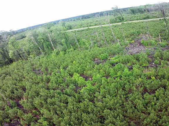 5th image of 0 County Road 35