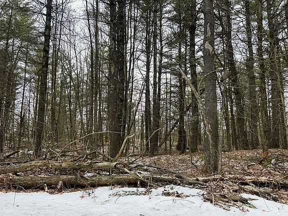 5th image of 13 Whitaker Rd