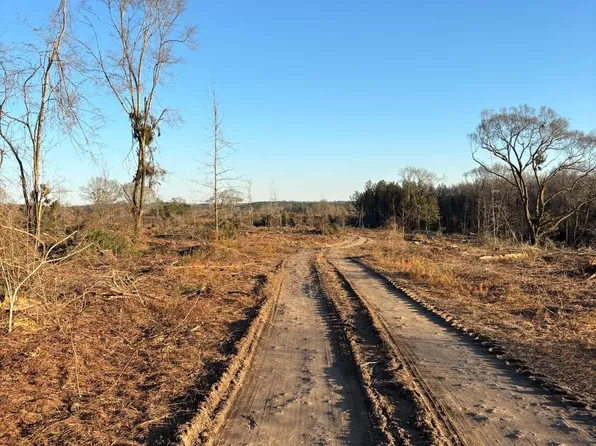 0 County Road 31, Clayton, AL 36016