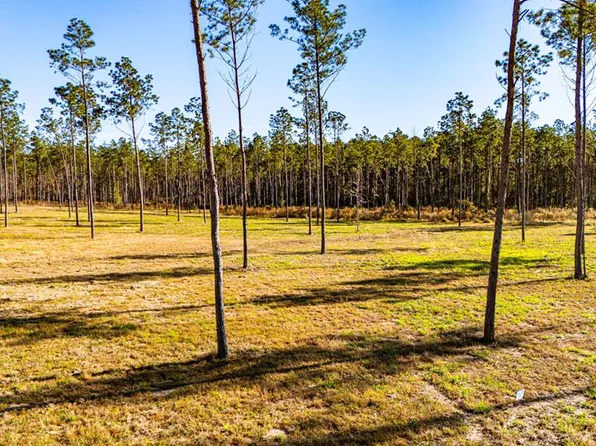 LOT 19 Big Buck Dr, Moscow, TX 75960
