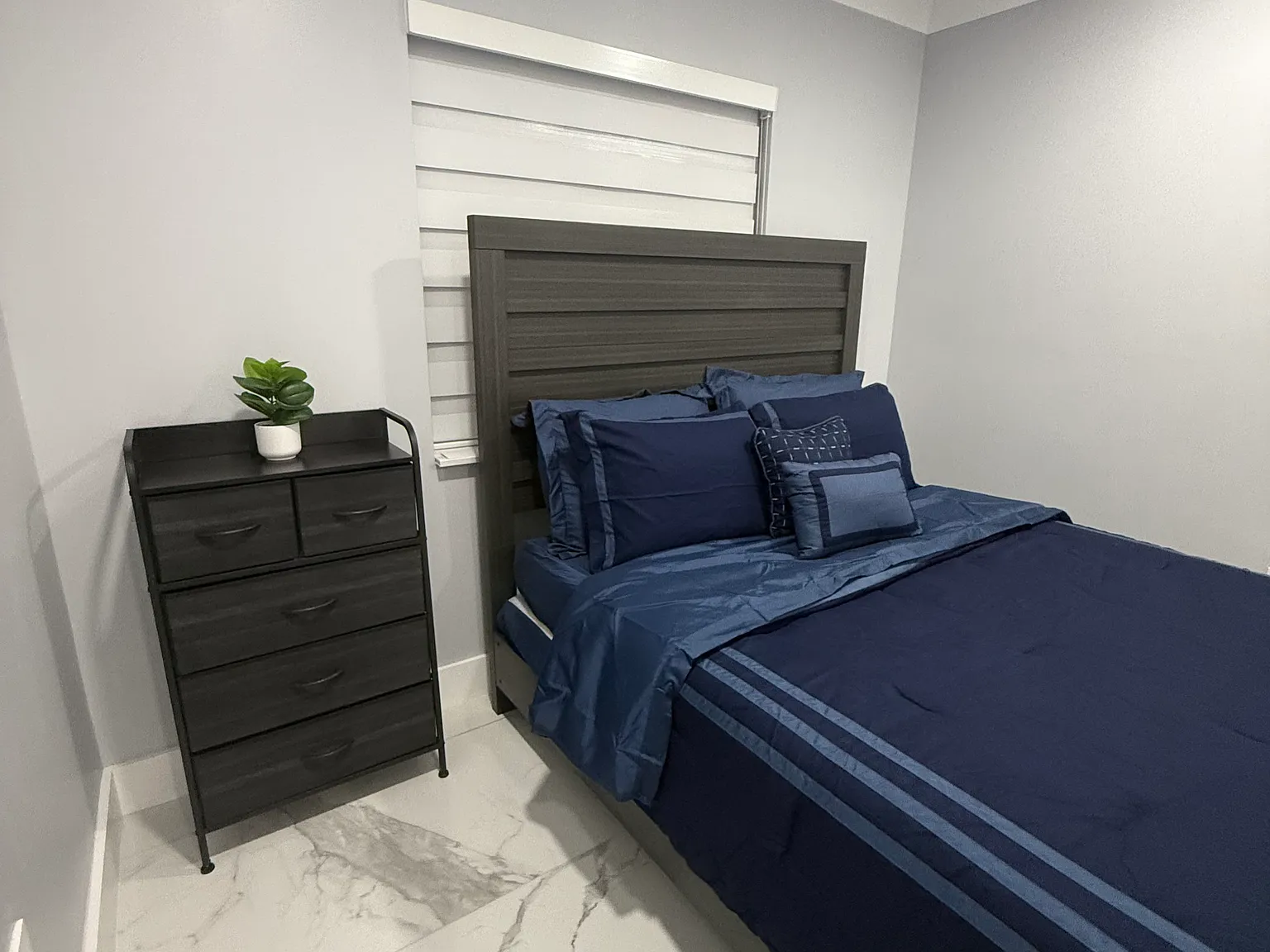Studio, $1,550 — Photo 2