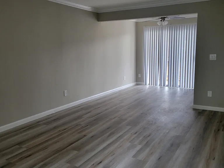 Large living room and dining area.
