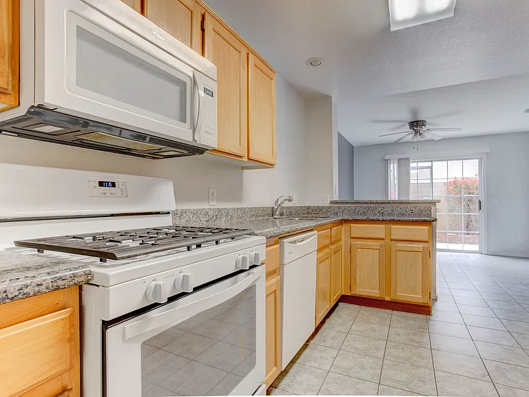 690 Ambling Gait Ave — Photo 11
