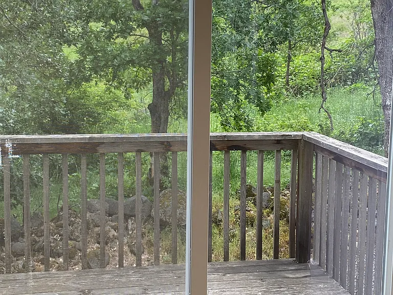 Woodsy view from back deck, dining area, and kitchen.