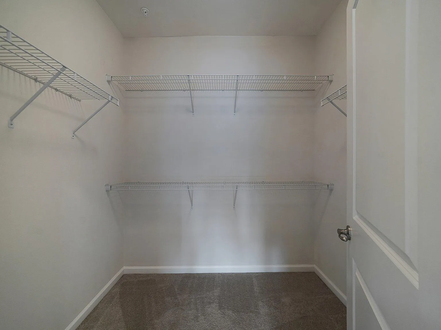 3 bed, 2040 sqft, $3,775 — Photo 3