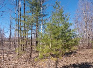 2439 Topinabee Mail Rte, Cheboygan, MI 49721