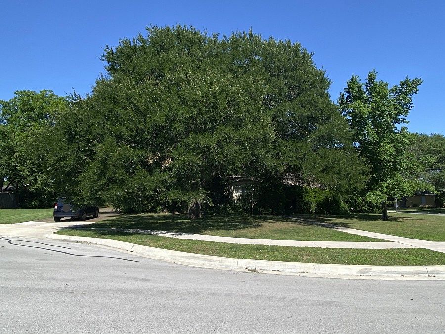 1st image of 3437 Mapledale Cir