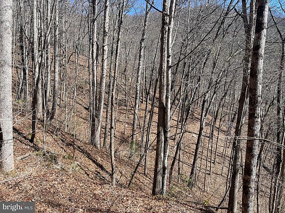 2nd image of 0 Bear Cove Rd