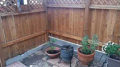 3rd image of 1793 Villa Santos Cir #0