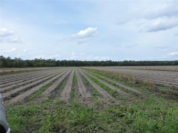 County Road 108 Rd, Bunnell, FL 32110