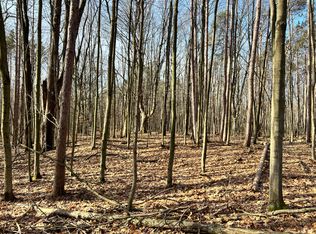 0 Bridge St, Ravenna, MI 49451