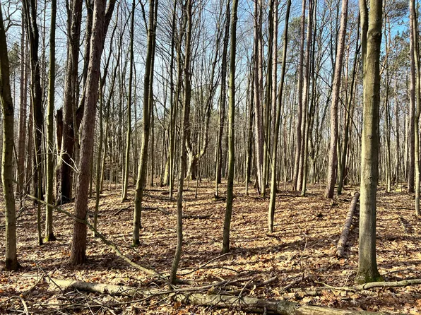 0 Bridge St, Ravenna, MI 49451