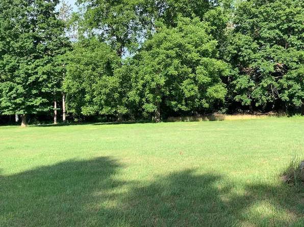 Lizzie Ave, Hesperia, MI 49421