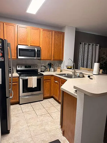13527 Daniels Landing Cir Photo 1