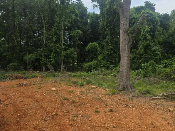 9777 Railroad Ave Lot 1, Pinson, AL 35126
