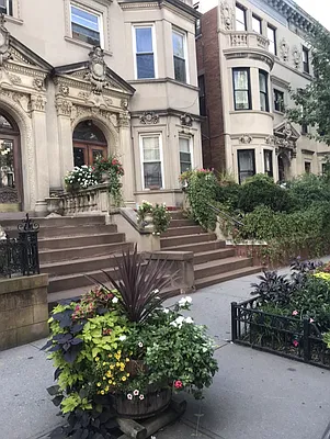 Rented by Compass | media 5