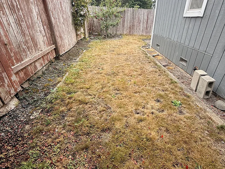 3532 Bridle Creek Ave — Photo 2