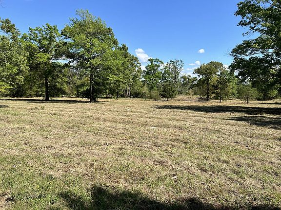 2nd image of 421 Pitt Rd