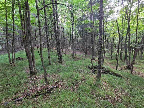 4th image of Aspen Ln #40ACRES