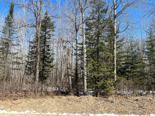 LOT 4 River View Dr, Grand Rapids, MN 55744