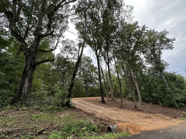352 Pulley St Lot 4&5, Erin, TN 37061