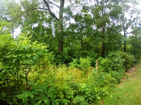 14 Smelcer Rd, Mohawk, TN 37810