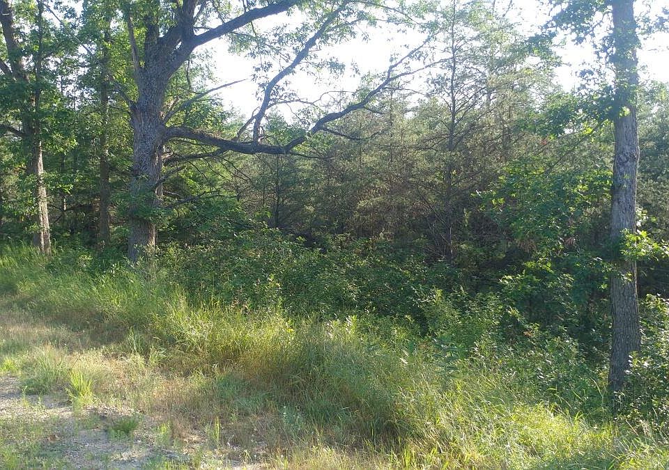 2nd image of 0 S Nelson Rd