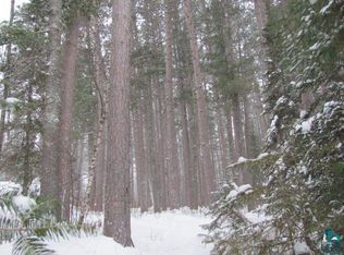 Xxx Fernberg Rd, Ely, MN 55731