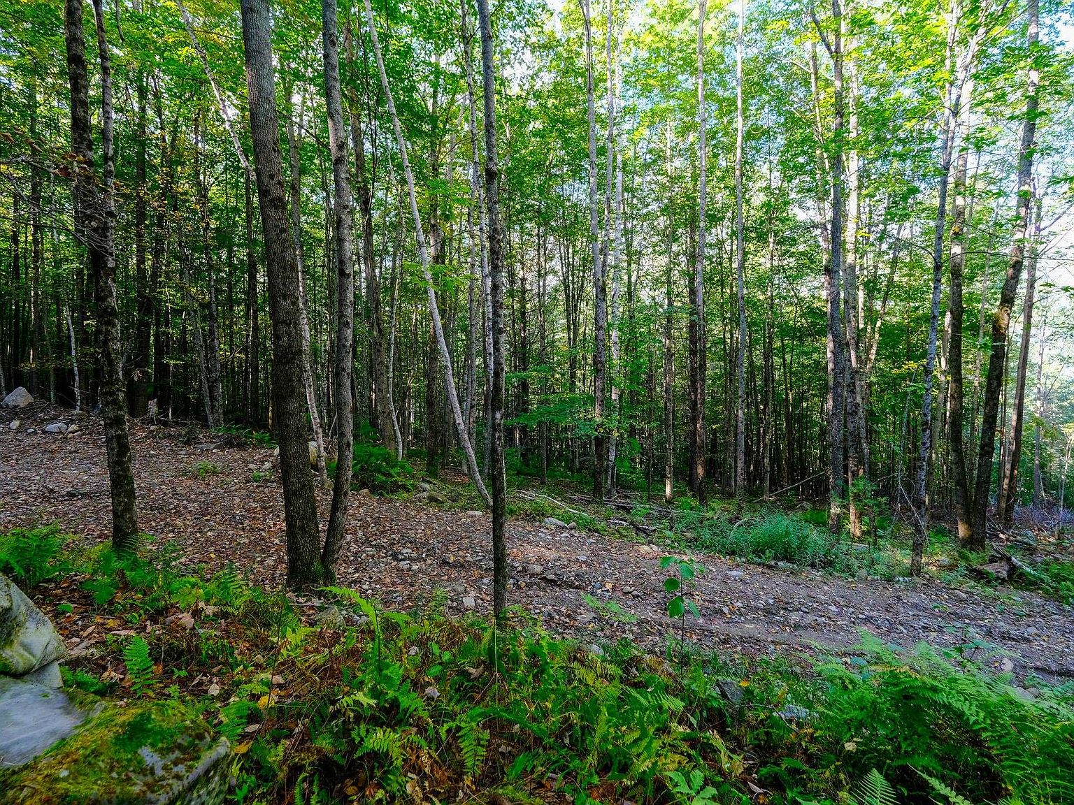 478 East Lake Road, Ludlow, VT 05149 Zillow