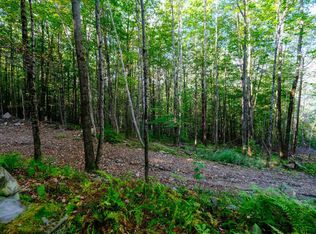 478 E Lake Rd, Ludlow, VT 05149