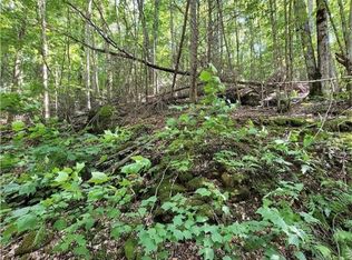 122-124 Raccoon Rd, Banner Elk, NC 28604