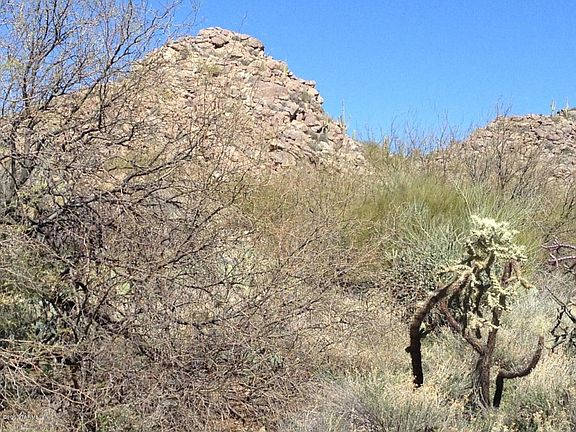 5th image of 14462 N Giant Saguaro Pl