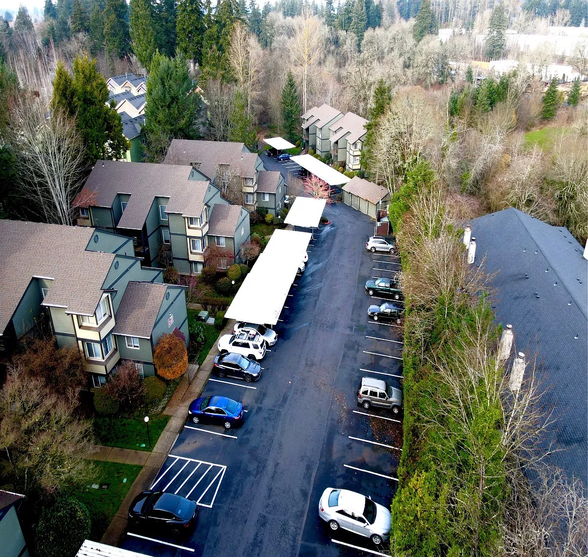 Bonita Court — Photo 3