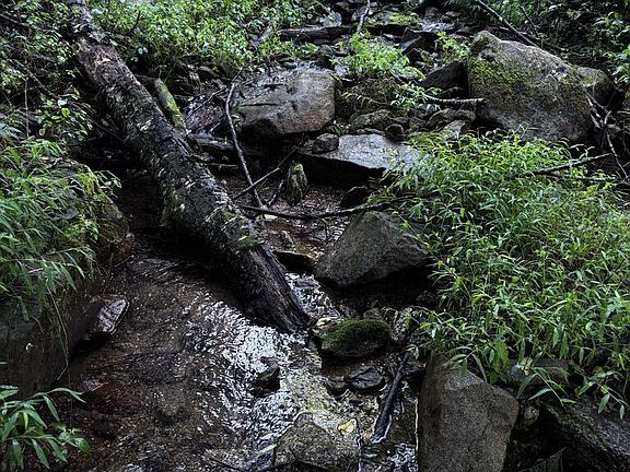 3rd image of Tbd Point Lookout Ln