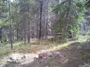 LOT 407 Glory Hole Rd LOT 407, Idaho Springs, CO 80452