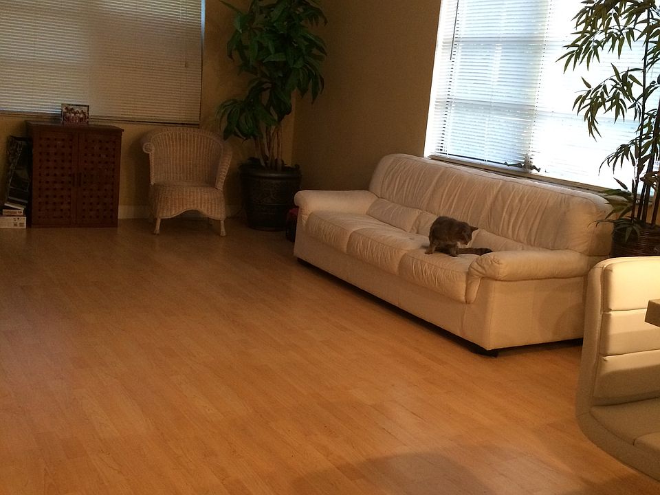 1st image of 3300 NE 10th Ter APT 4