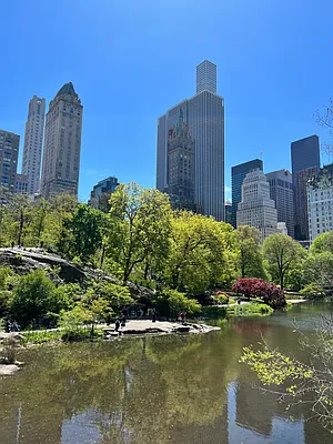 Rented by Douglas Elliman | media 10