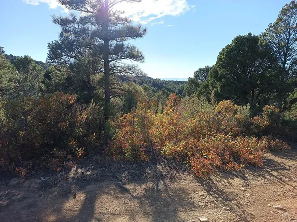 LOT 86 Ponderosa Trl, Trinidad, CO 81082