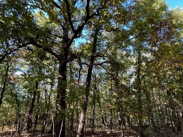 Golden Beach Rd, Barnett, MO 65011