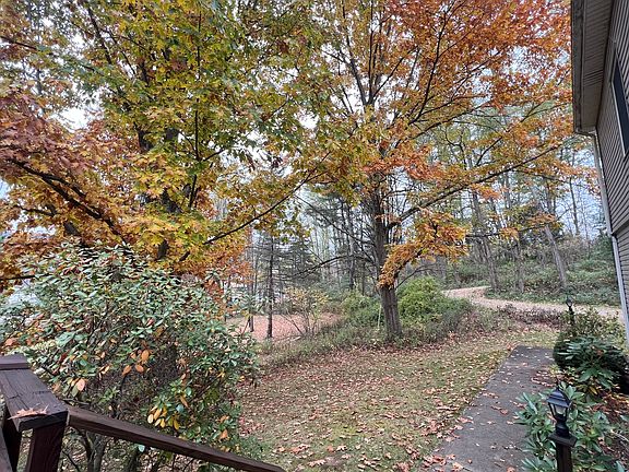 View off the front deck, facing driveway. Hardwood trees offer cool shade in the summer and vibrant foliage in the fall.