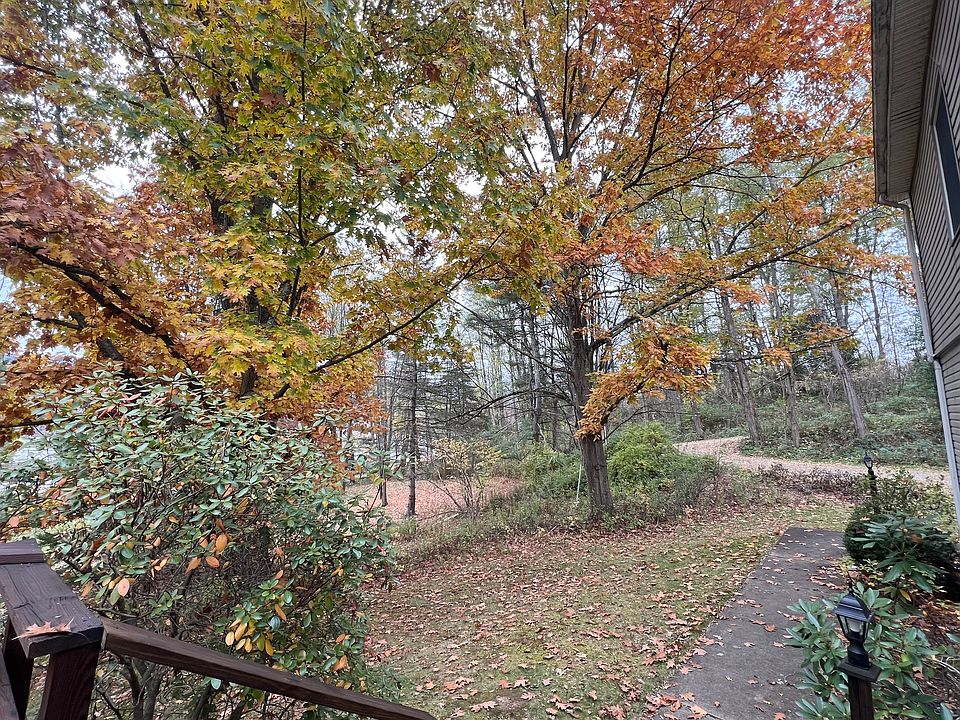 View off the front deck, facing driveway. Hardwood trees offer cool shade in the summer and vibrant foliage in the fall.